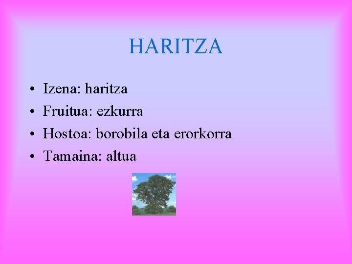 HARITZA • • Izena: haritza Fruitua: ezkurra Hostoa: borobila eta erorkorra Tamaina: altua 