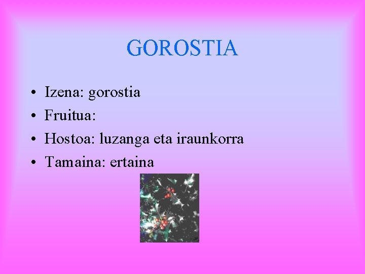 GOROSTIA • • Izena: gorostia Fruitua: Hostoa: luzanga eta iraunkorra Tamaina: ertaina 