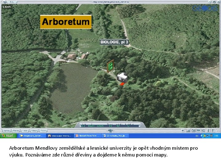 Arboretum Mendlovy zemědělské a lesnické univerzity je opět vhodným místem pro výuku. Poznáváme zde