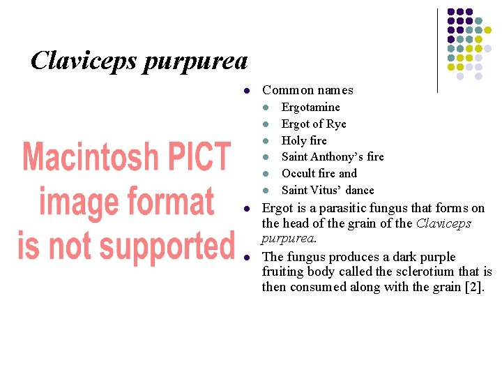 Claviceps purpurea l Common names l l l l Ergotamine Ergot of Rye Holy