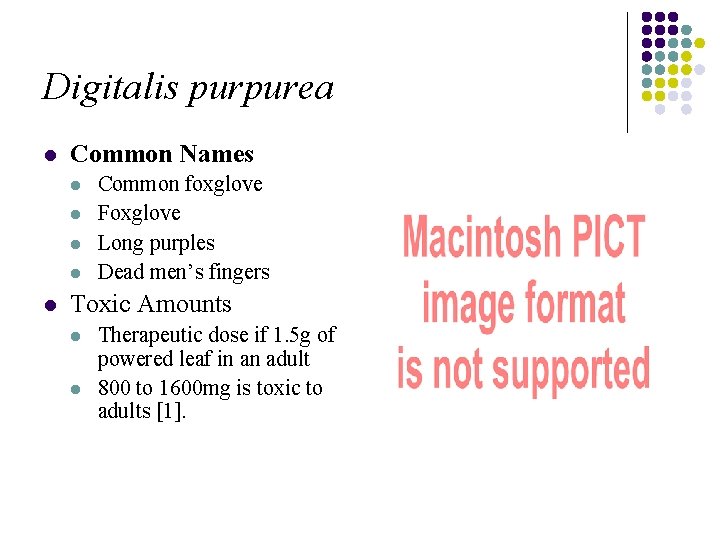 Digitalis purpurea l Common Names l l l Common foxglove Foxglove Long purples Dead