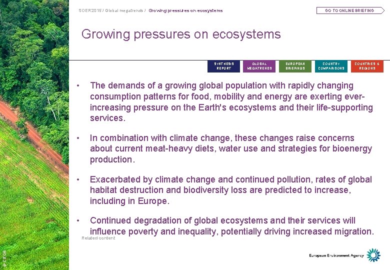 SOER 2015 / Global megatrends / Growing pressures on ecosystems GO TO ONLINE BRIEFING