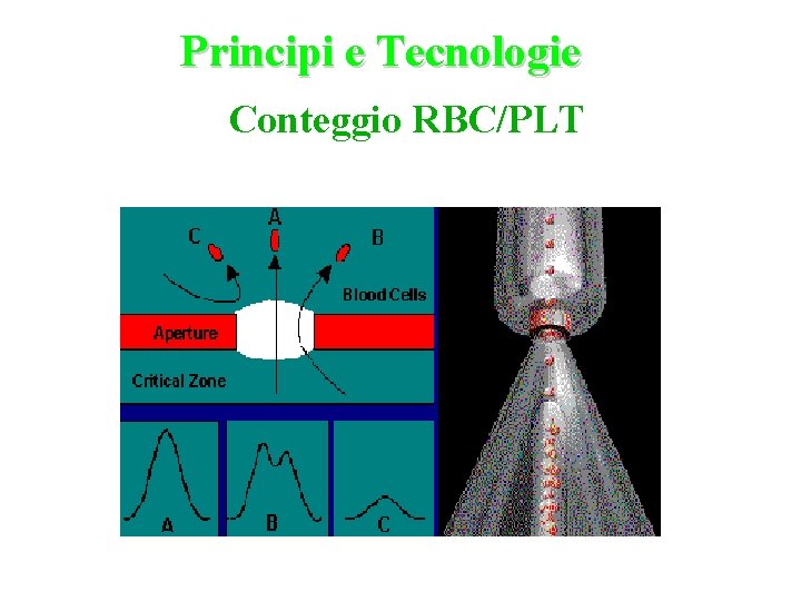 Principi e Tecnologie Conteggio RBC/PLT Rilevazione Resistiva con Focalizzazione Idrodinamica 