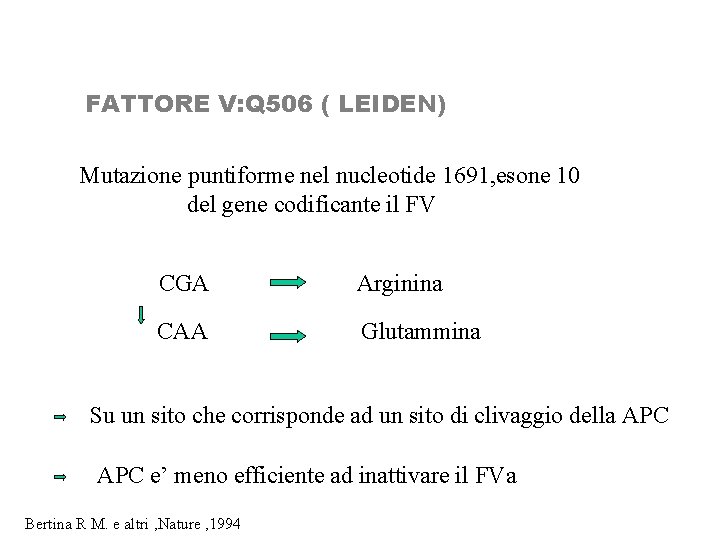 FATTORE V: Q 506 ( LEIDEN) Mutazione puntiforme nel nucleotide 1691, esone 10 del