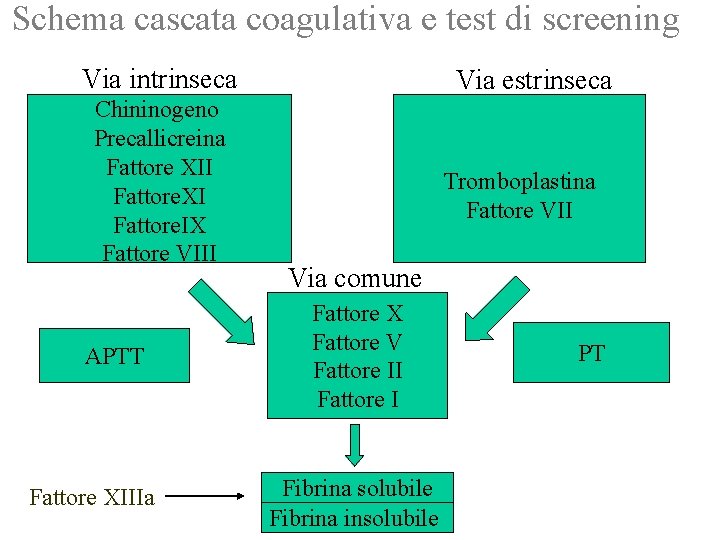 Schema cascata coagulativa e test di screening Via intrinseca Chininogeno Precallicreina Fattore XII Fattore.