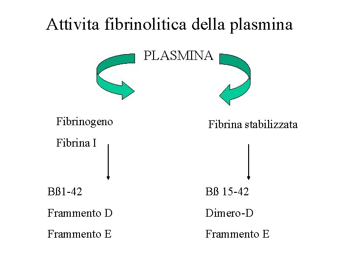 Attivita fibrinolitica della plasmina PLASMINA Fibrinogeno Fibrina stabilizzata Fibrina I Bß 1 -42 Bß