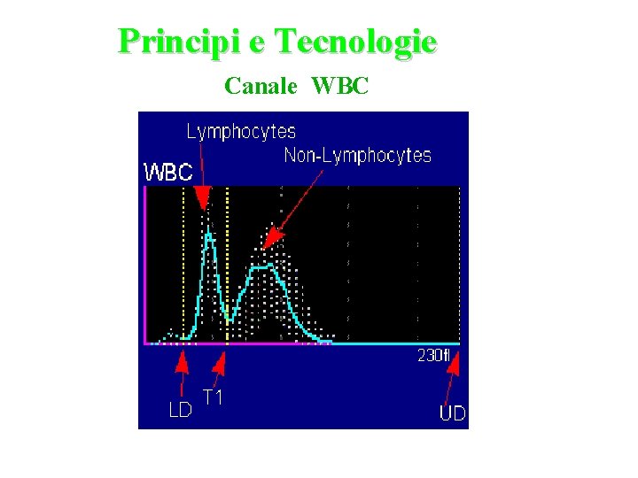 Principi e Tecnologie Canale WBC 