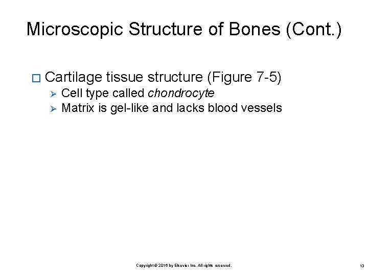 Microscopic Structure of Bones (Cont. ) � Cartilage tissue structure (Figure 7 -5) Ø