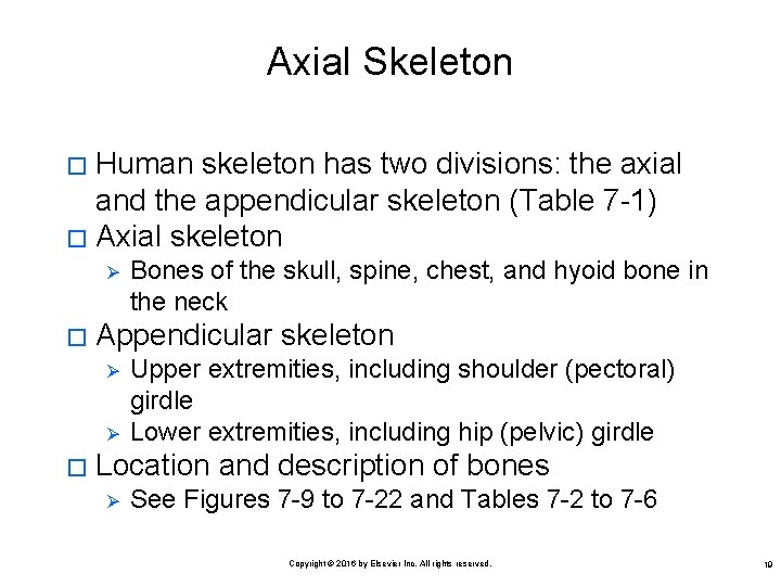 Axial Skeleton Human skeleton has two divisions: the axial and the appendicular skeleton (Table