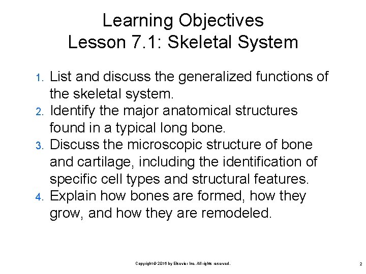 Learning Objectives Lesson 7. 1: Skeletal System 1. 2. 3. 4. List and discuss