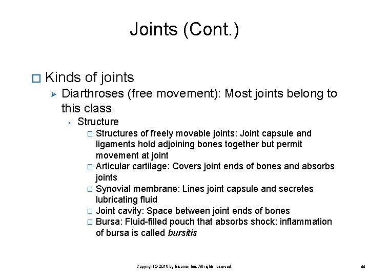 Joints (Cont. ) � Kinds of joints Ø Diarthroses (free movement): Most joints belong