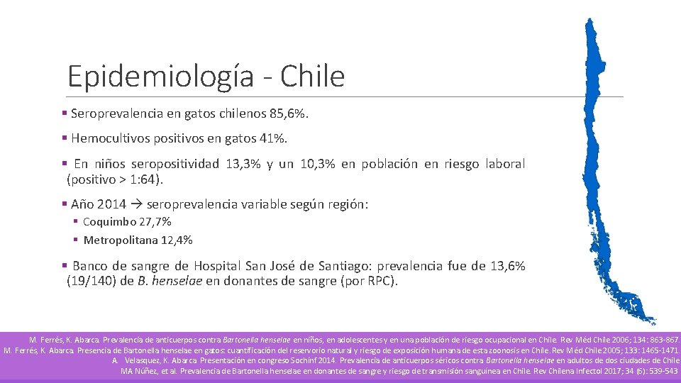 Epidemiología - Chile § Seroprevalencia en gatos chilenos 85, 6%. § Hemocultivos positivos en