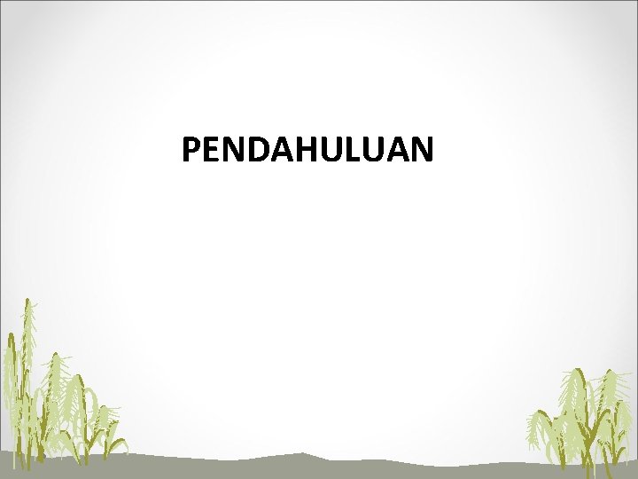 PENDAHULUAN 