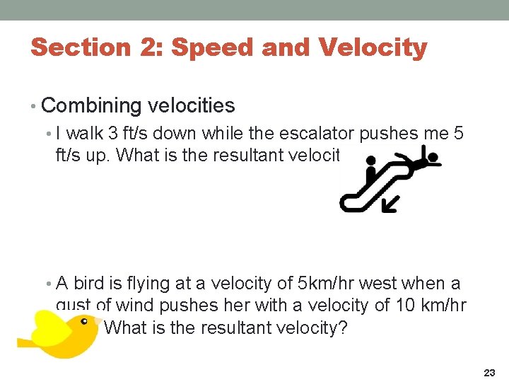 Section 2: Speed and Velocity • Combining velocities • I walk 3 ft/s down