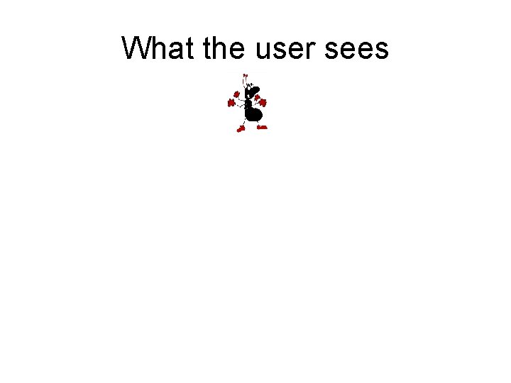 What the user sees 