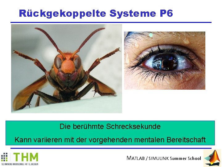 Rückgekoppelte Systeme P 6 Die berühmte Schrecksekunde Kann variieren mit der vorgehenden mentalen Bereitschaft