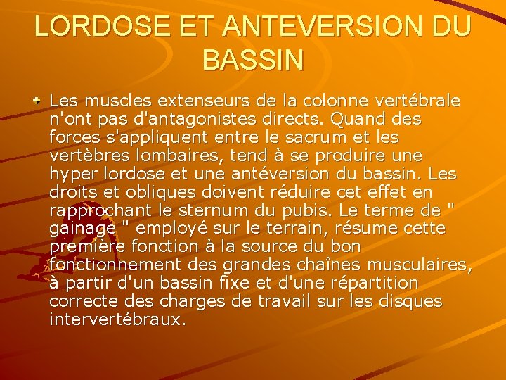 LORDOSE ET ANTEVERSION DU BASSIN Les muscles extenseurs de la colonne vertébrale n'ont pas