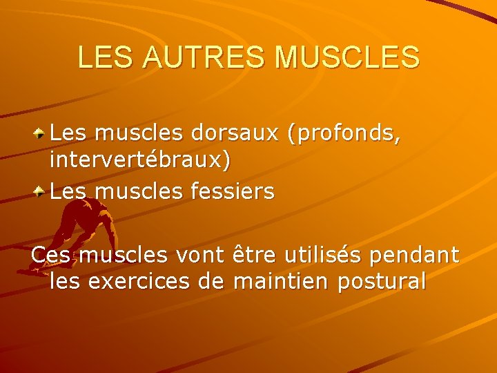 LES AUTRES MUSCLES Les muscles dorsaux (profonds, intervertébraux) Les muscles fessiers Ces muscles vont