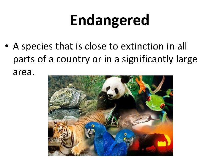 Endangered • A species that is close to extinction in all parts of a