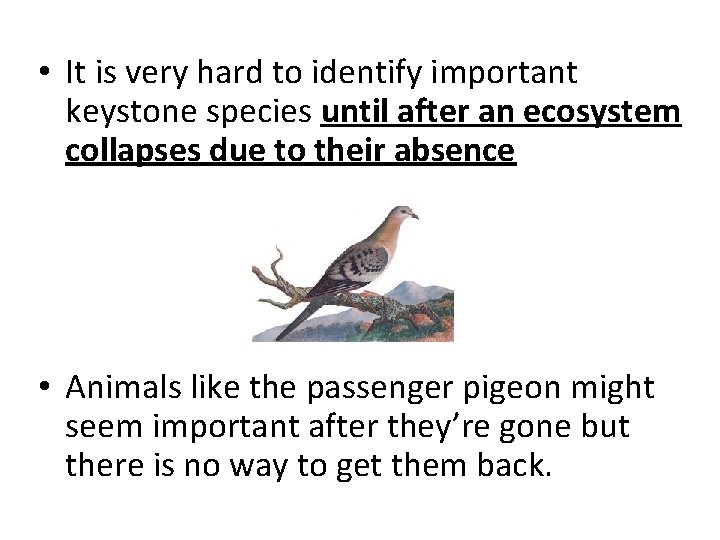  • It is very hard to identify important keystone species until after an