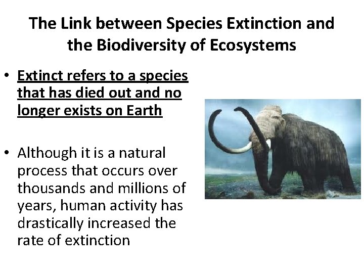 The Link between Species Extinction and the Biodiversity of Ecosystems • Extinct refers to