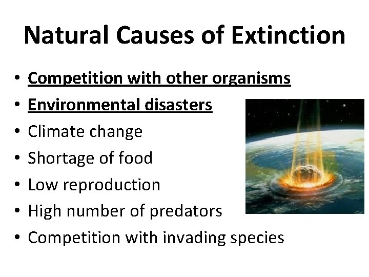 Natural Causes of Extinction • • Competition with other organisms Environmental disasters Climate change