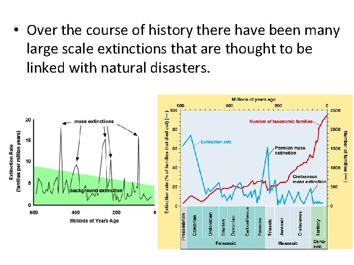  • Over the course of history there have been many large scale extinctions