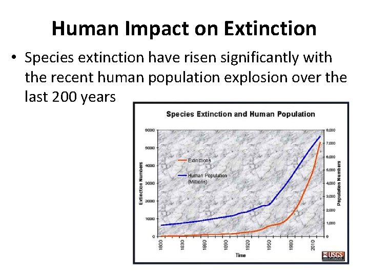 Human Impact on Extinction • Species extinction have risen significantly with the recent human