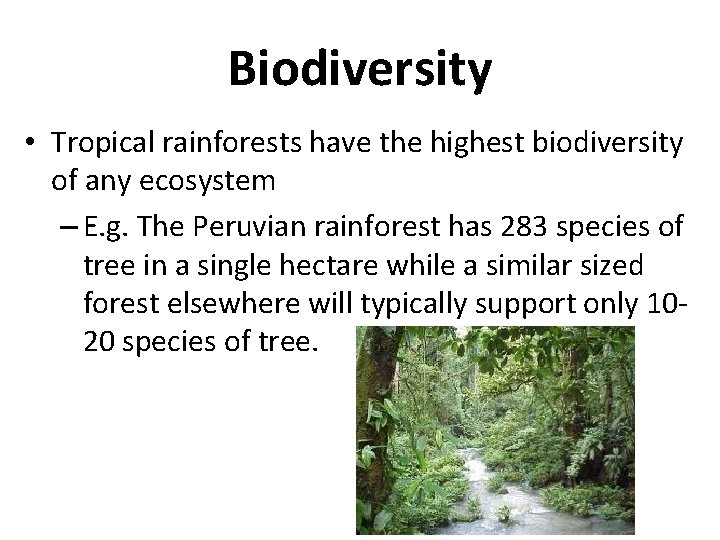 Biodiversity • Tropical rainforests have the highest biodiversity of any ecosystem – E. g.
