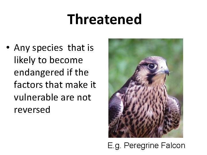 Threatened • Any species that is likely to become endangered if the factors that