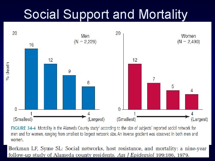 Social Support and Mortality 