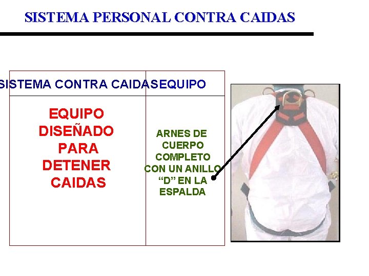 SISTEMA PERSONAL CONTRA CAIDAS SISTEMA CONTRA CAIDASEQUIPO DISEÑADO PARA DETENER CAIDAS ARNES DE CUERPO