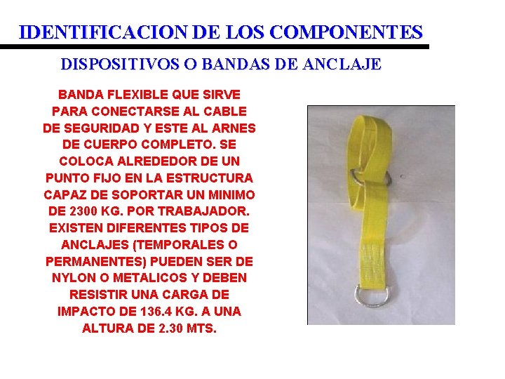 IDENTIFICACION DE LOS COMPONENTES DISPOSITIVOS O BANDAS DE ANCLAJE BANDA FLEXIBLE QUE SIRVE PARA