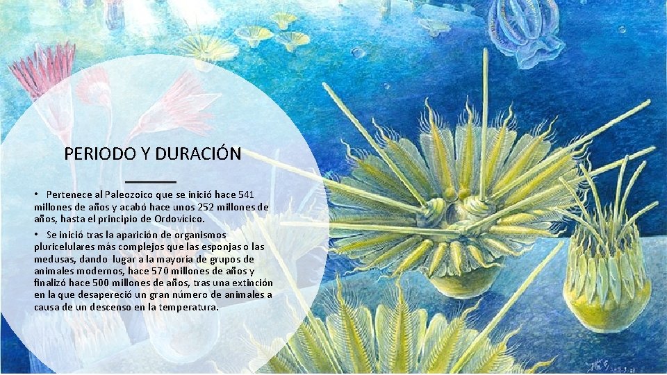 PERIODO Y DURACIÓN • Pertenece al Paleozoico que se inició hace 541 millones de