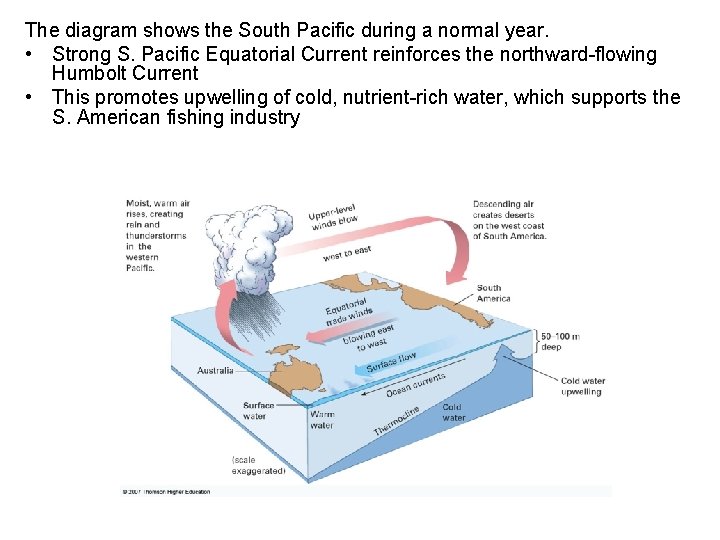 The diagram shows the South Pacific during a normal year. • Strong S. Pacific