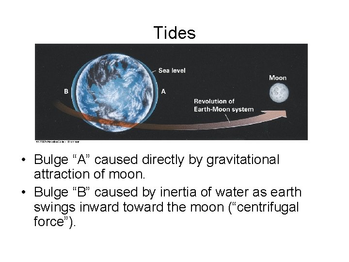 Tides • Bulge “A” caused directly by gravitational attraction of moon. • Bulge “B”