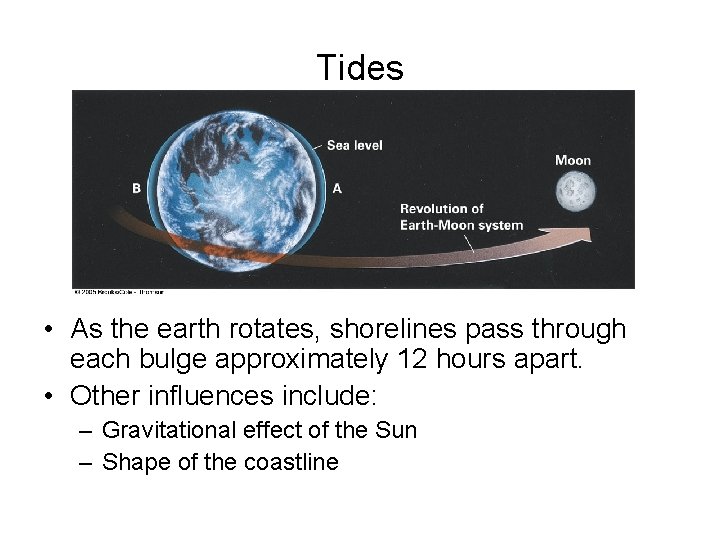 Tides • As the earth rotates, shorelines pass through each bulge approximately 12 hours