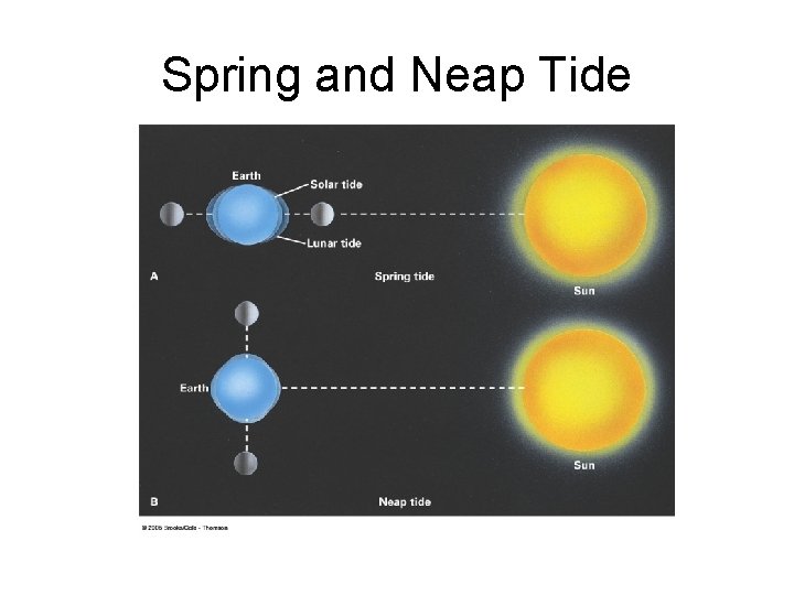 Spring and Neap Tide 