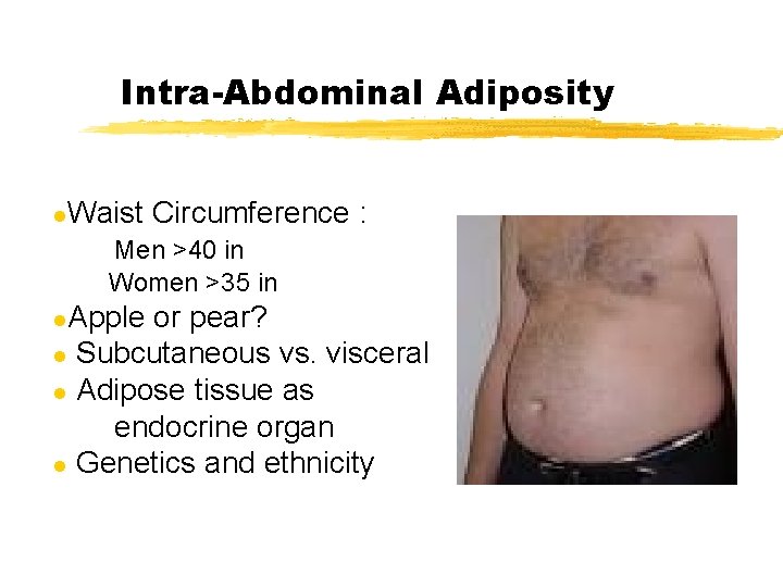 Intra-Abdominal Adiposity l Waist Circumference : Men >40 in Women >35 in Apple or