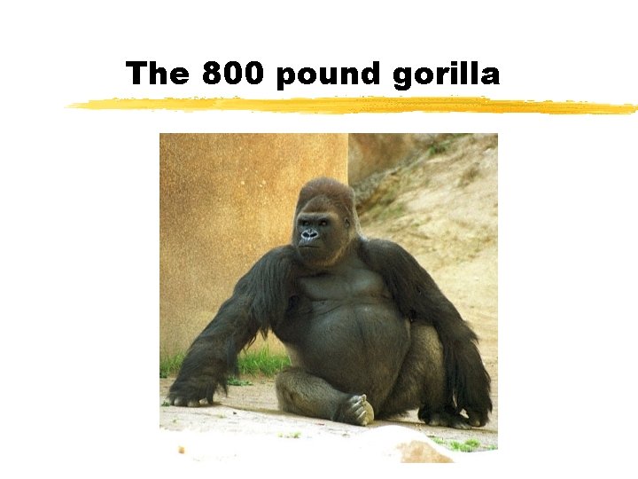 The 800 pound gorilla 