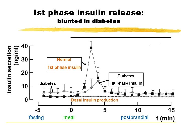 Ist phase insulin release: blunted in diabetes Normal 1 st phase insulin Diabetes 1