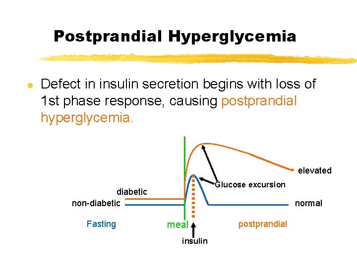 Postprandial Hyperglycemia l Defect in insulin secretion begins with loss of 1 st phase