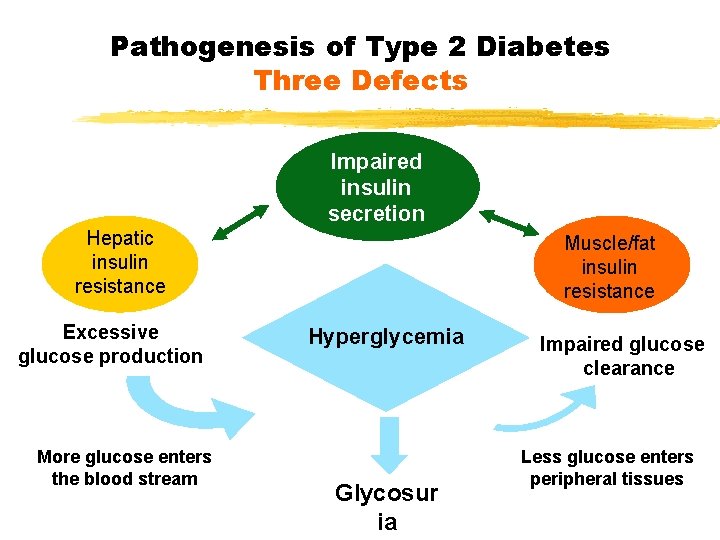 Pathogenesis of Type 2 Diabetes Three Defects Impaired insulin secretion Hepatic insulin resistance Excessive