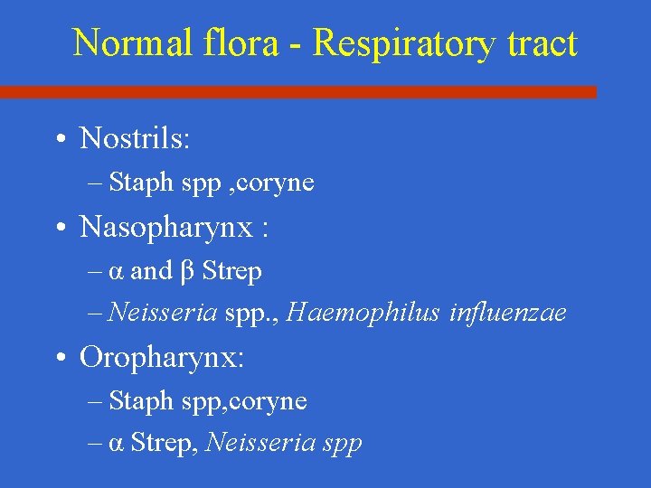 Normal flora - Respiratory tract • Nostrils: – Staph spp , coryne • Nasopharynx