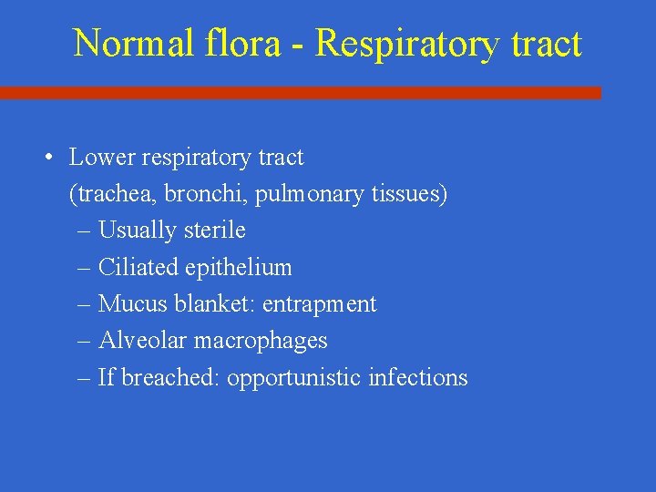 Normal flora - Respiratory tract • Lower respiratory tract (trachea, bronchi, pulmonary tissues) –