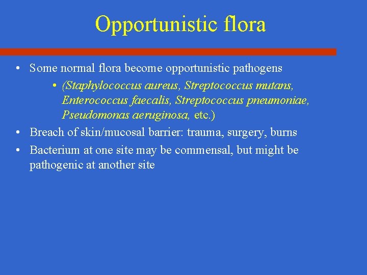 Opportunistic flora • Some normal flora become opportunistic pathogens • (Staphylococcus aureus, Streptococcus mutans,