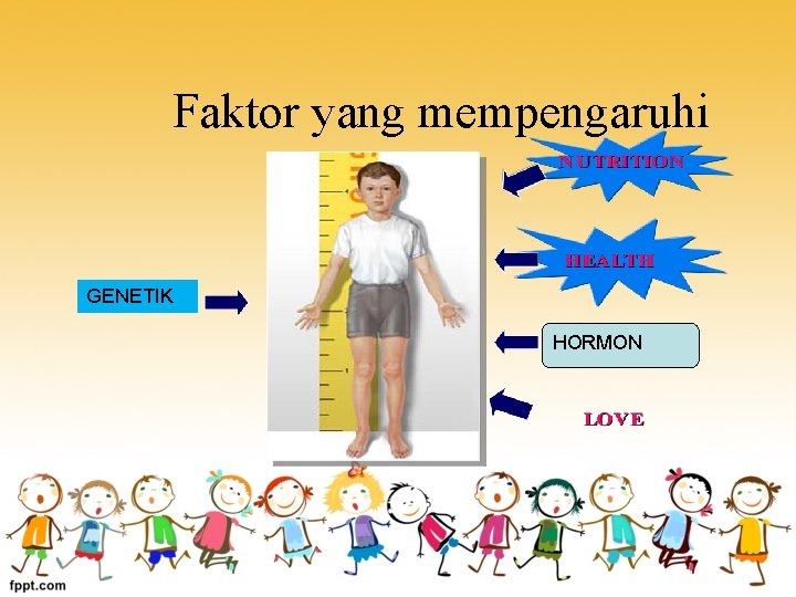 Faktor yang mempengaruhi GENETIK HORMON 