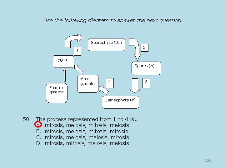 Use the following diagram to answer the next question. Sporophyte (2 n) 2 1