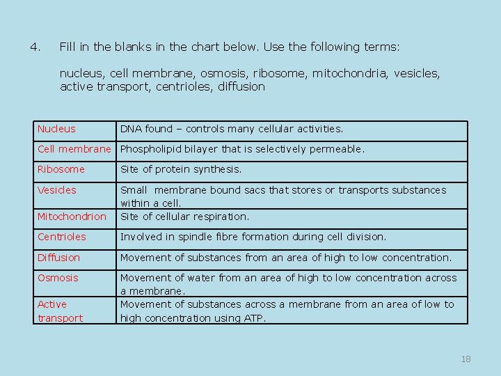 4. Fill in the blanks in the chart below. Use the following terms: nucleus,