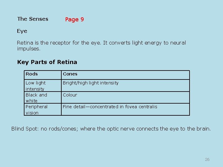 The Senses Page 9 Eye Retina is the receptor for the eye. It converts